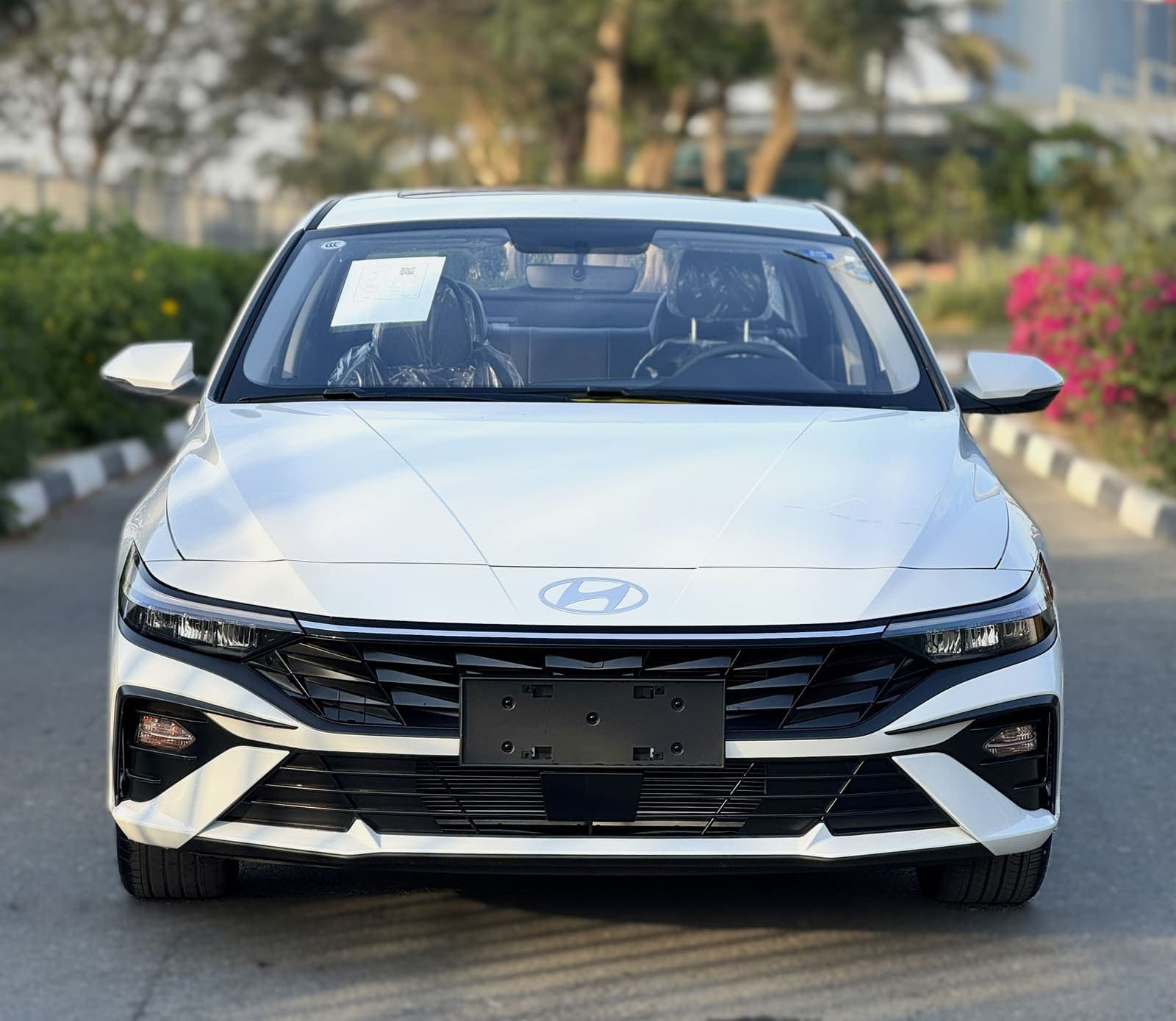 النترا إيليت ١.٥ل — 1